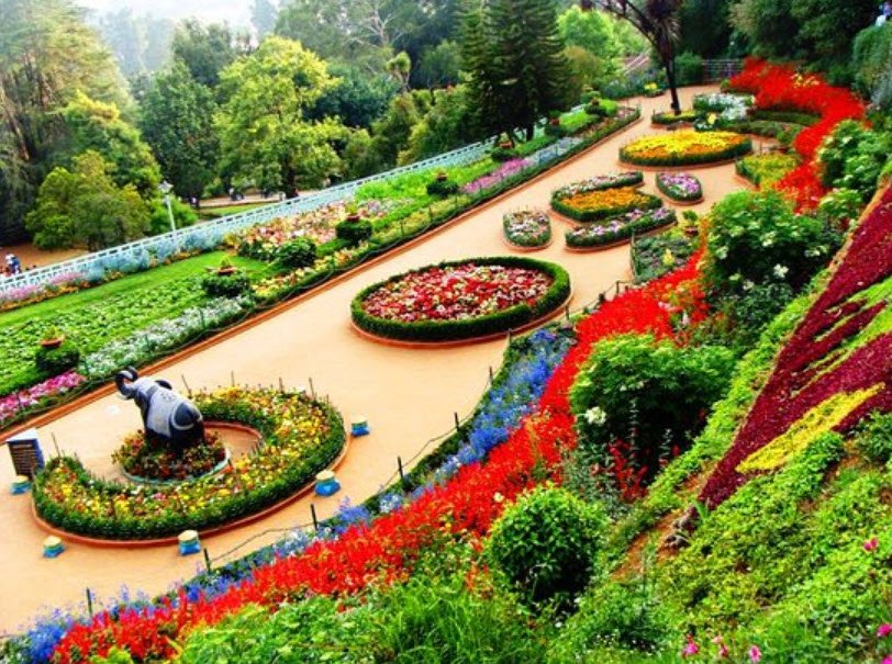 Government Botanical Garden , , India